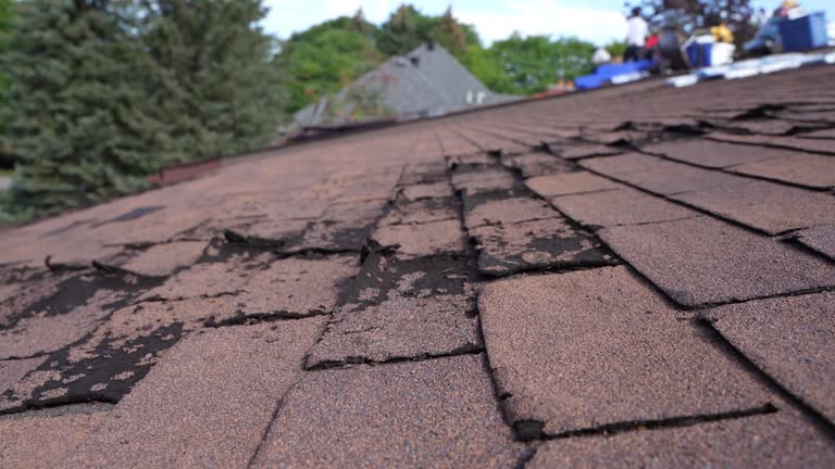 Roof Insulation in Monessen, PA
