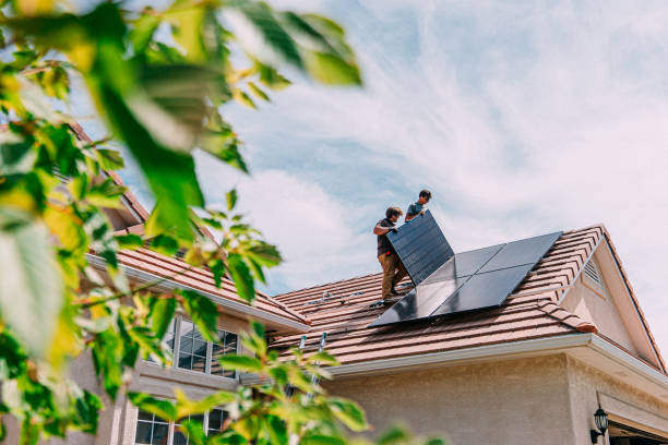 Best Roof Moss and Algae Removal  in Monessen, PA